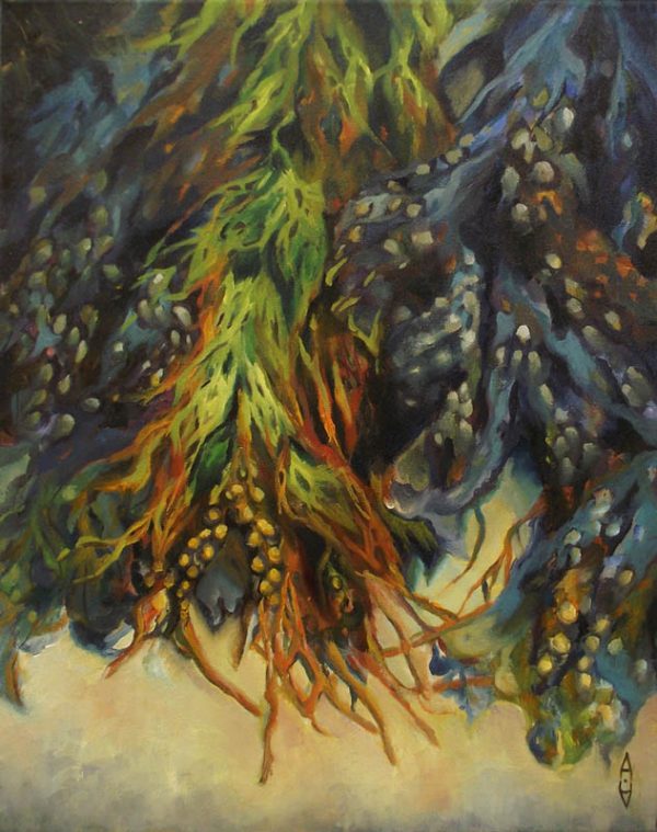 Derrynane Beach Seaweeds - oil on canvas 50 x 40cm