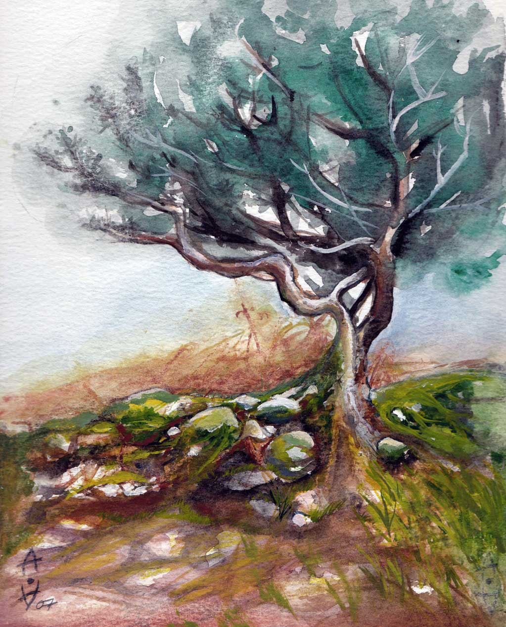 Tree with an old stonewall