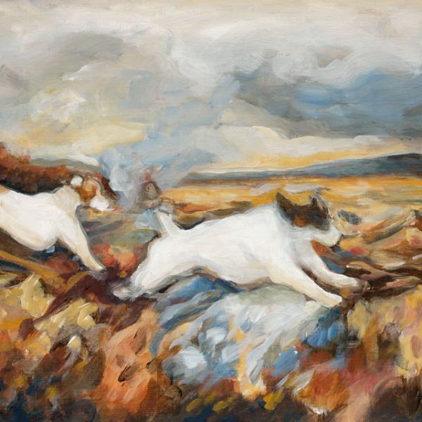 Two Jack Russells
