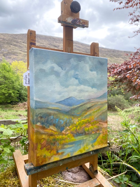 Yellow Gorse County Kerry Aia Leu
