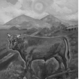 Taurus