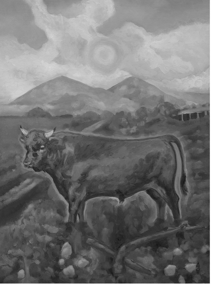 Taurus